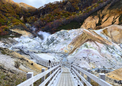 7 DAYS SOUTH HOKKADIO PRIVATE TOUR