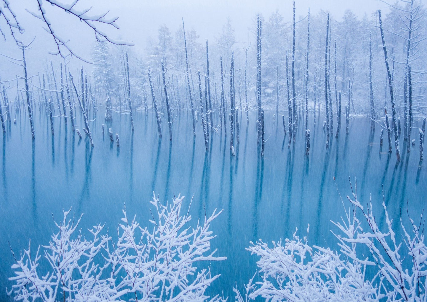 7 天北海道道央私人包團