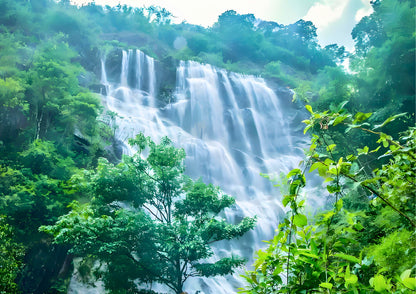 3 DAYS GUANGZHOU & CONGHUA PRIVATE TOUR