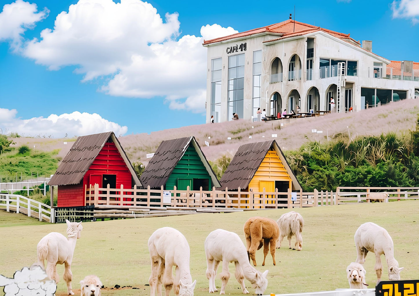 4 DAYS JEJU PRIVATE TOUR