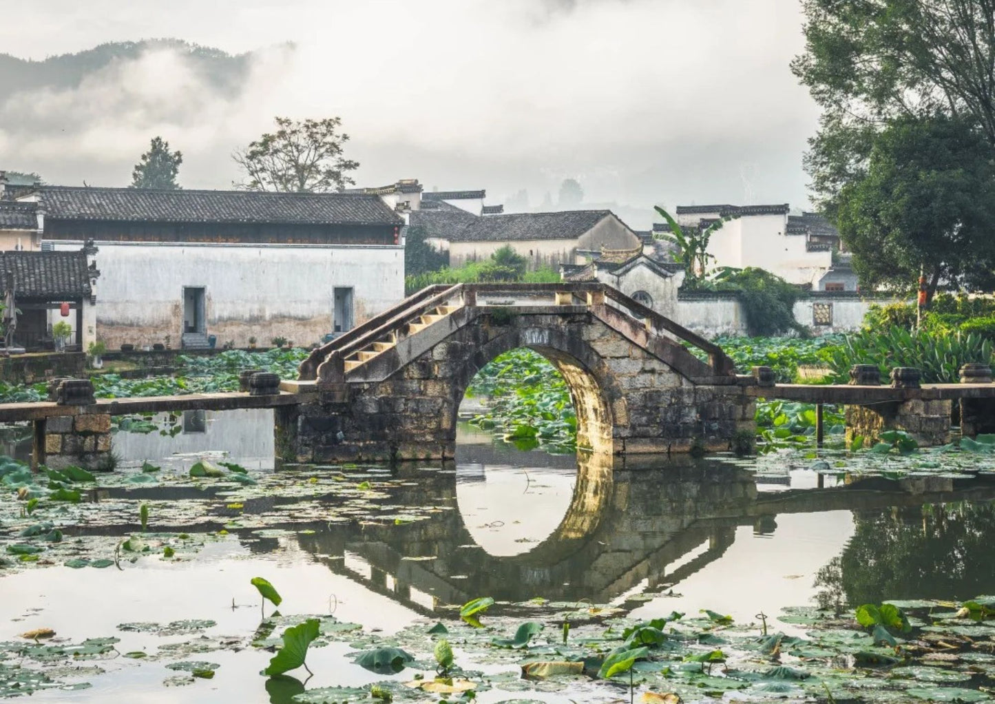 7日間の黄山プライベートツアー