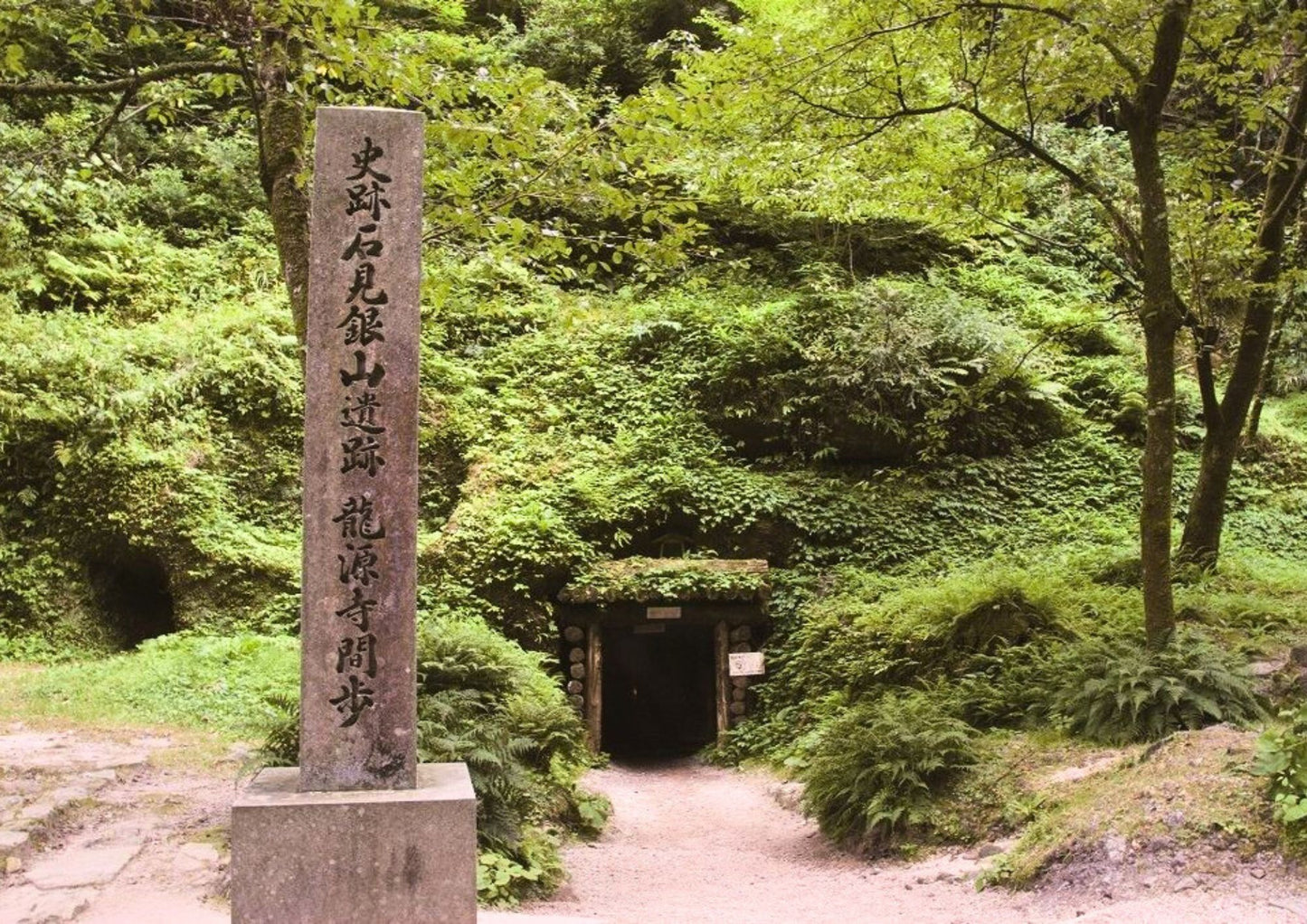 14天山陽・山陰私人包團