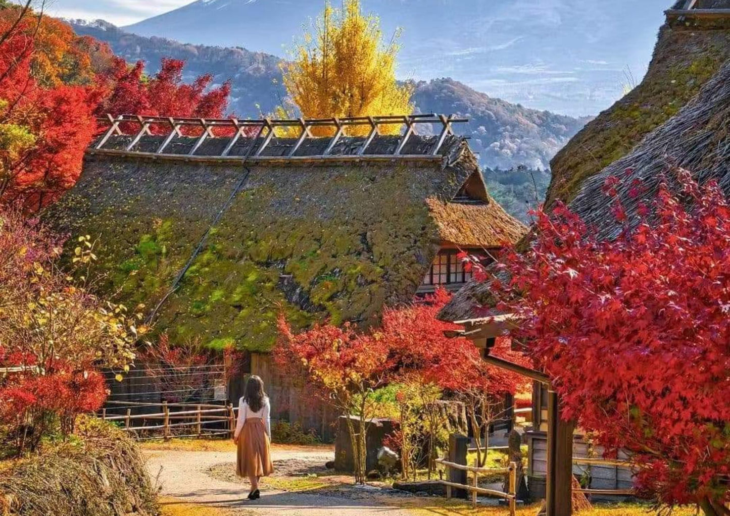 10天甲信越私人包團