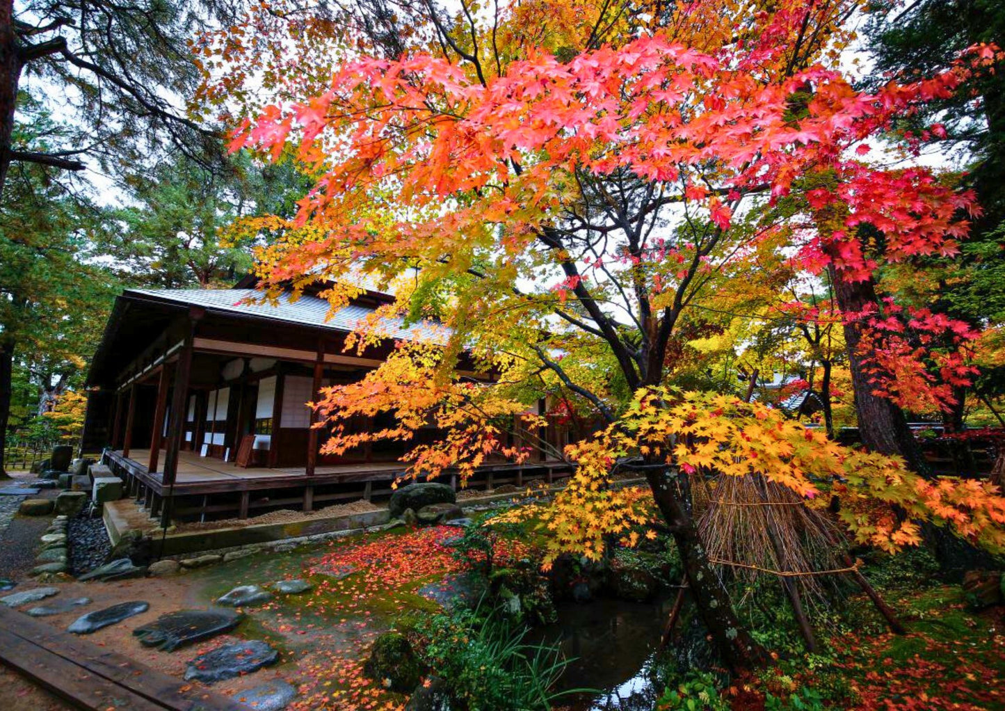 10天甲信越私人包團