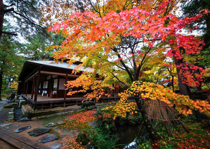 10天甲信越私人包團