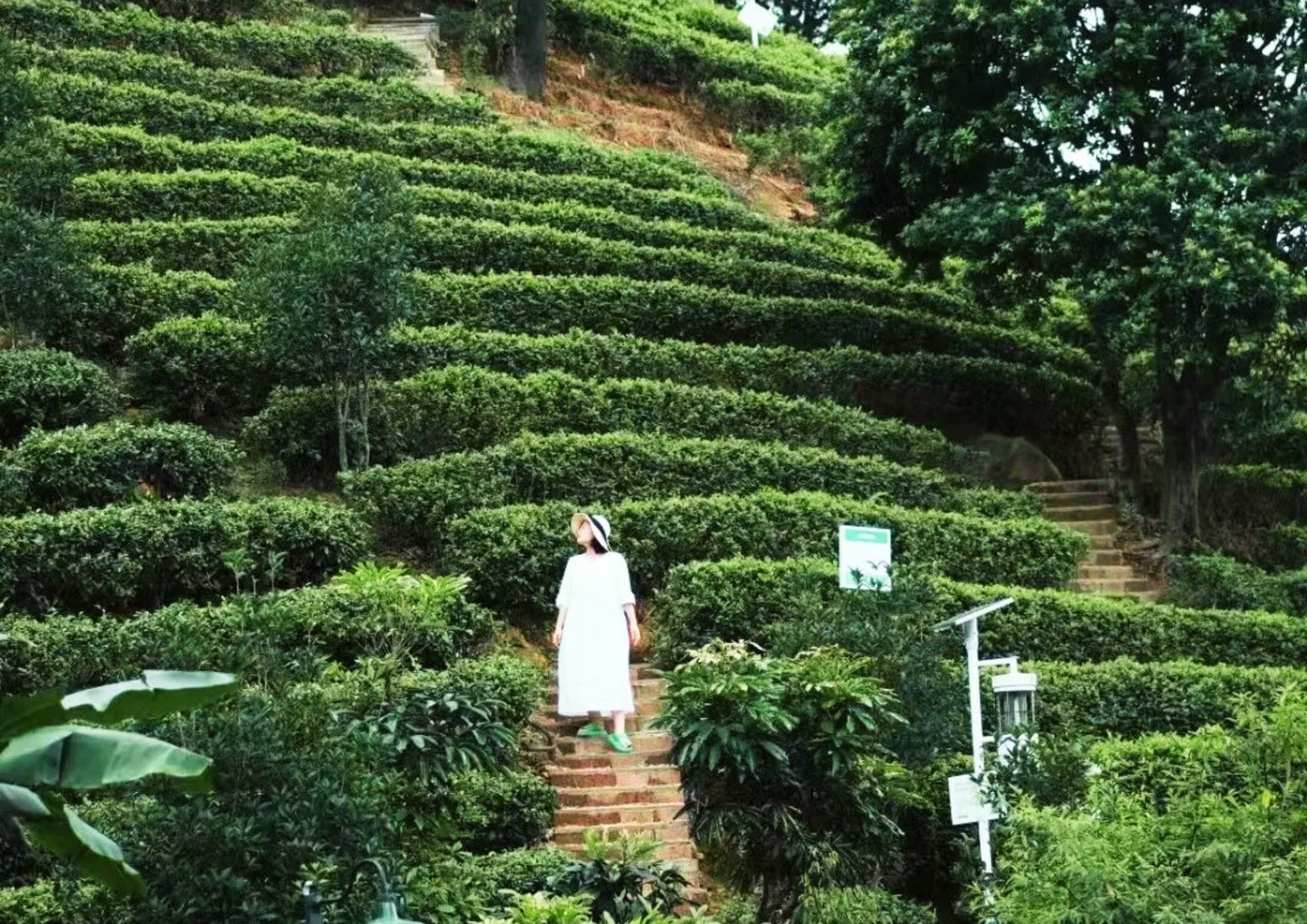 4 DAYS QINGYUAN PRIVATE TOUR