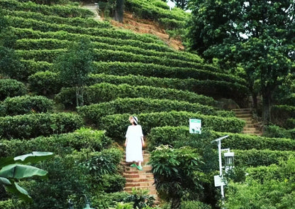 4 DAYS QINGYUAN PRIVATE TOUR