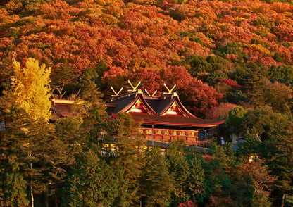 14天山陽・山陰私人包團