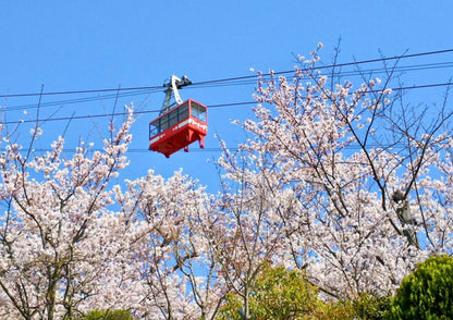 8日間西関西プライベートツアー