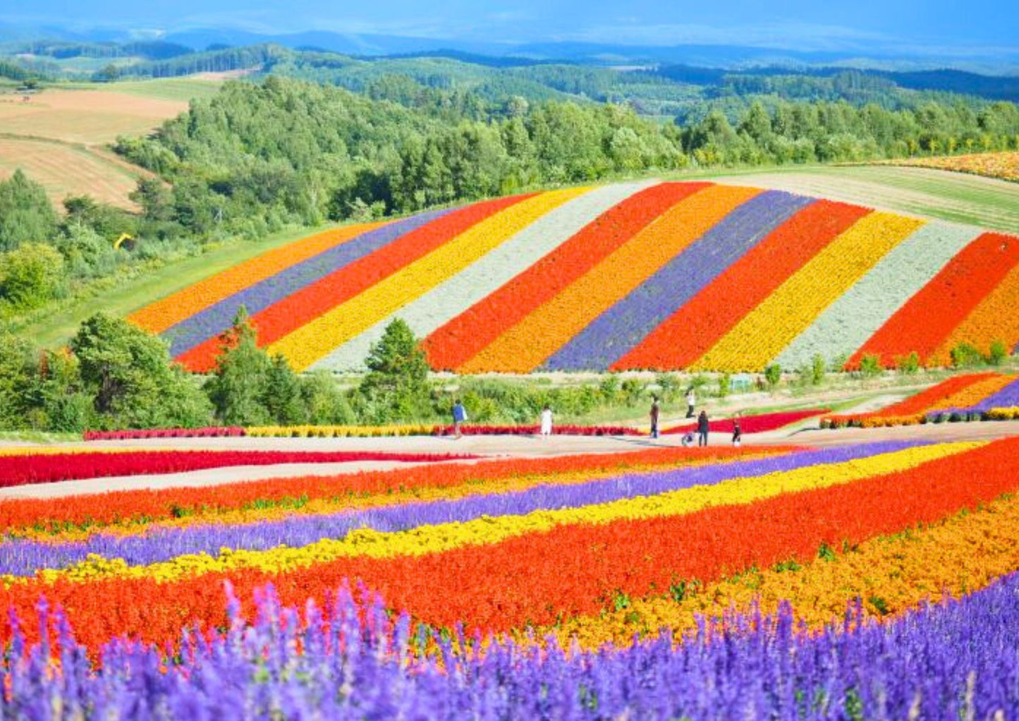 7 天北海道道央私人包團