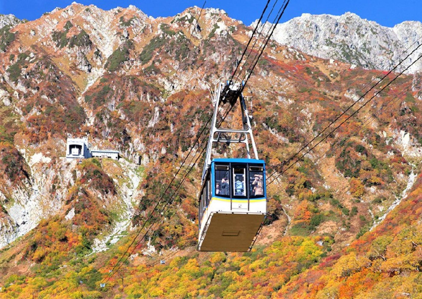 5日間の立山黒部プライベートツアー