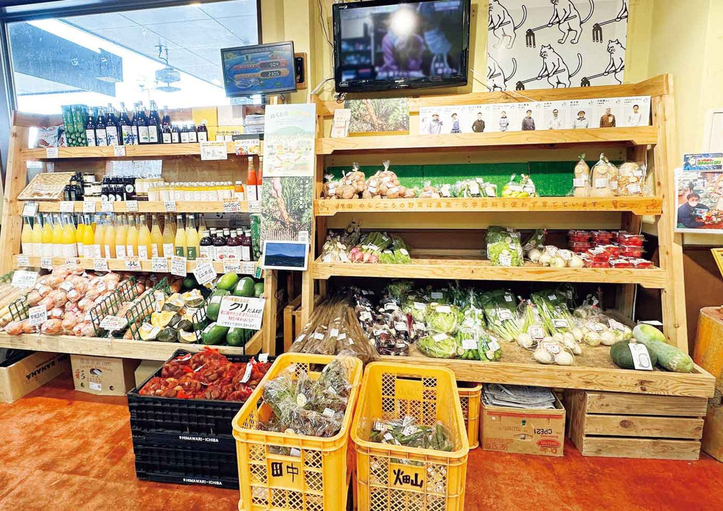 10天甲信越私人包團