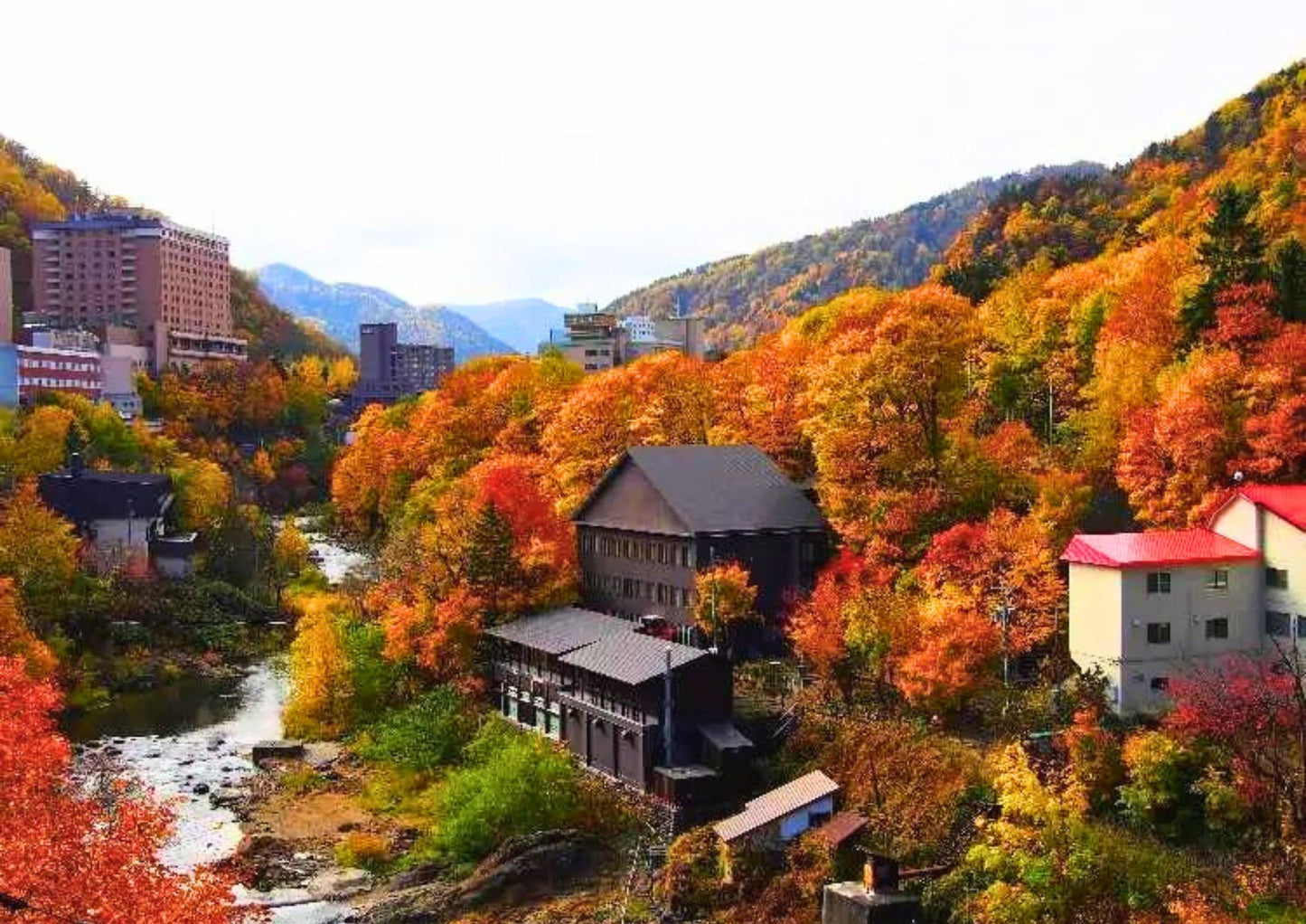 8 DAYS CENTRAL HOKKADIO PRIVATE TOUR