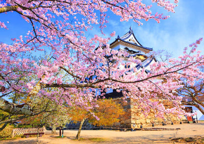 6 DAYS EAST KANSAI PRIVATE TOUR