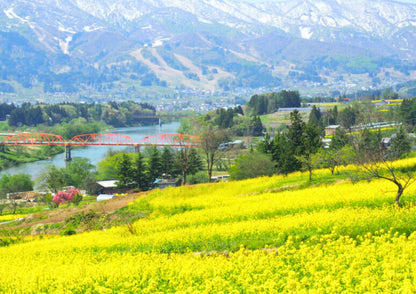 10天甲信越私人包團