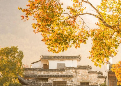 7日間の黄山プライベートツアー