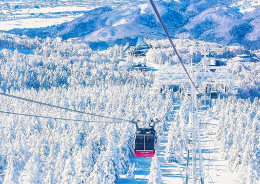 5日間の東北プライベートツアー