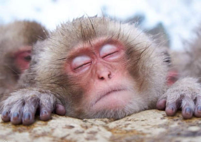 14日間の甲信越プライベートツアー