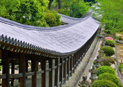 14天山陽・山陰私人包團