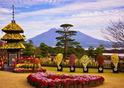 8 DAYS SOUTH KYUSHU PRIVATE TOUR