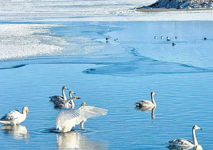 10 DAYS NORTH & WEST XINJIANG PRIVATE TOUR