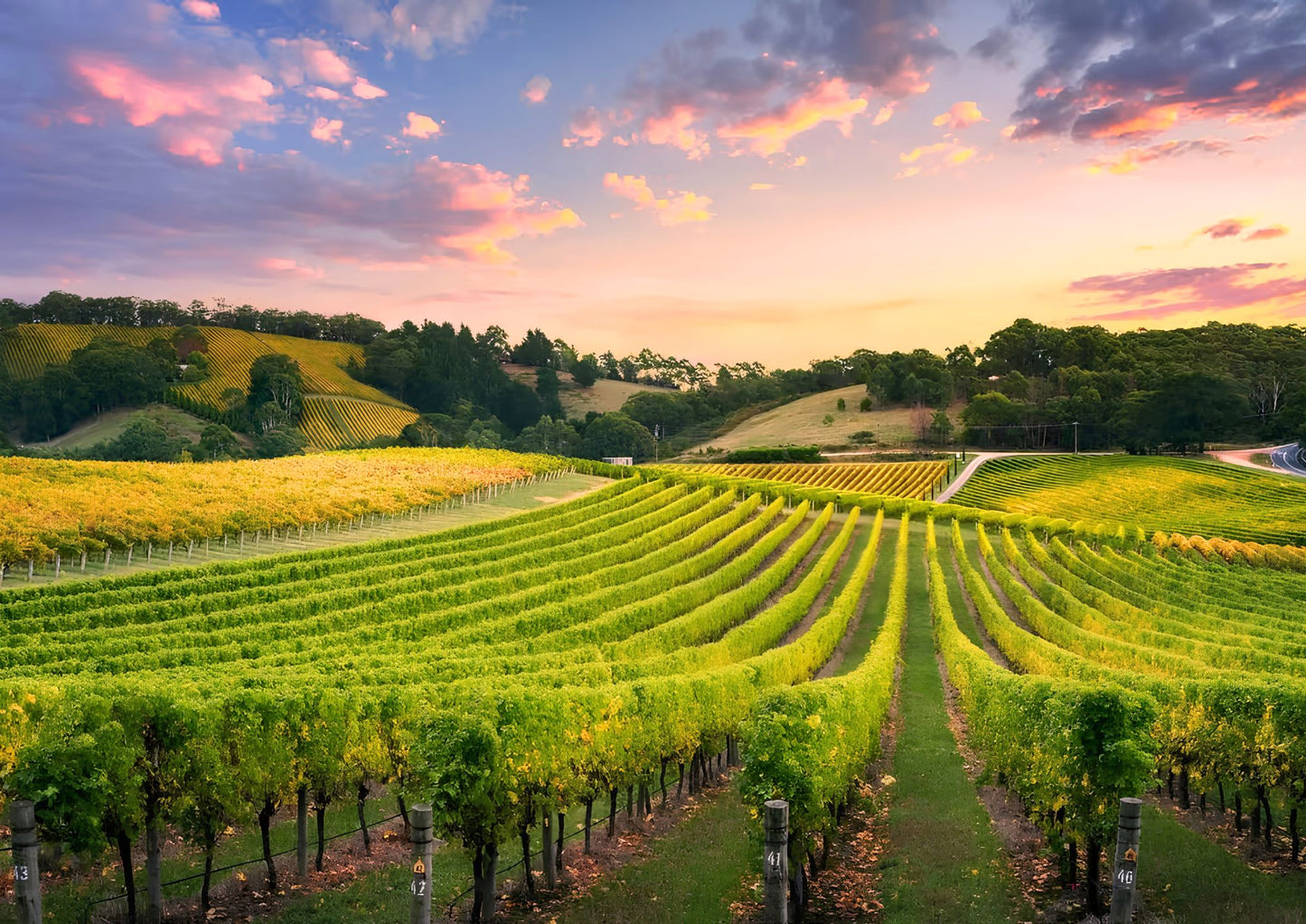 8 DAYS SOUTHERN AUSTRALIA PRIVATE TOUR