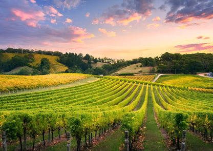 8 DAYS SOUTHERN AUSTRALIA PRIVATE TOUR