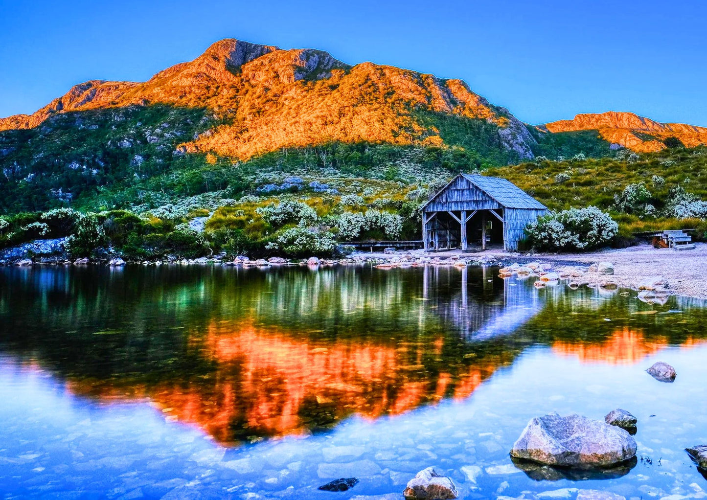 8 DAYS TASMANIA PRIVATE TOUR