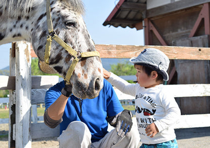 8 DAYS EAST KANSAI PRIVATE TOUR