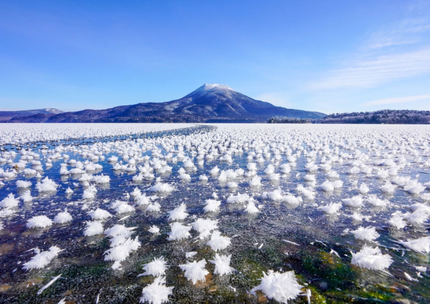 6 天北海道道東私人包團