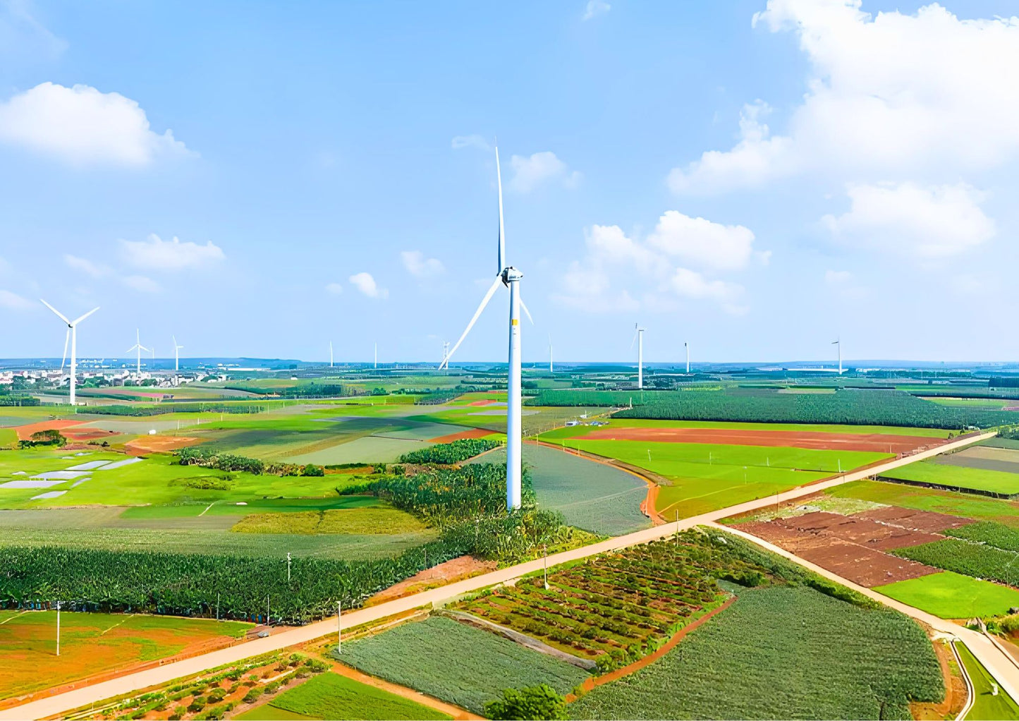5 DAYS ZHANJIANG PRIVATE TOUR