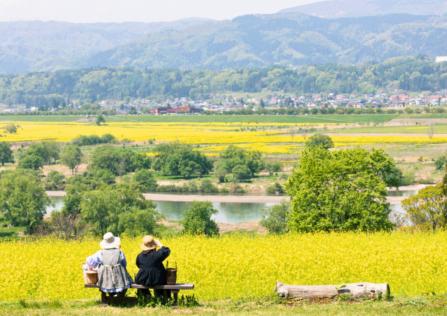 10天甲信越私人包團