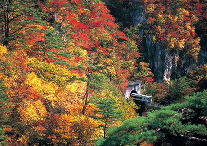 7 DAYS TOHOKU PRIVATE TOUR