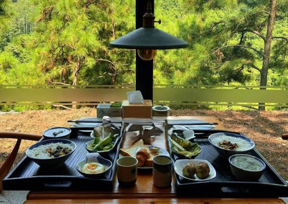 4 DAYS QINGYUAN PRIVATE TOUR