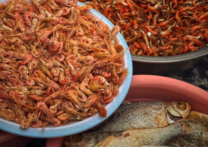 4 DAYS QINGYUAN PRIVATE TOUR