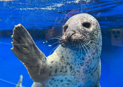 10天甲信越私人包團