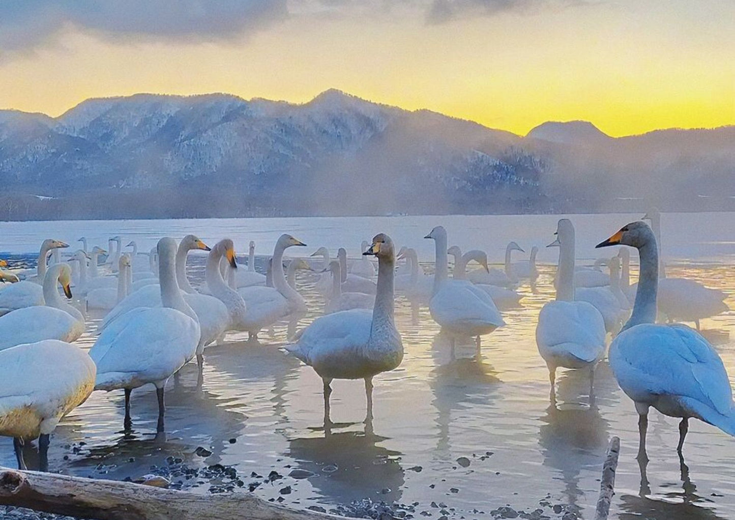 7 天北海道道東私人包團