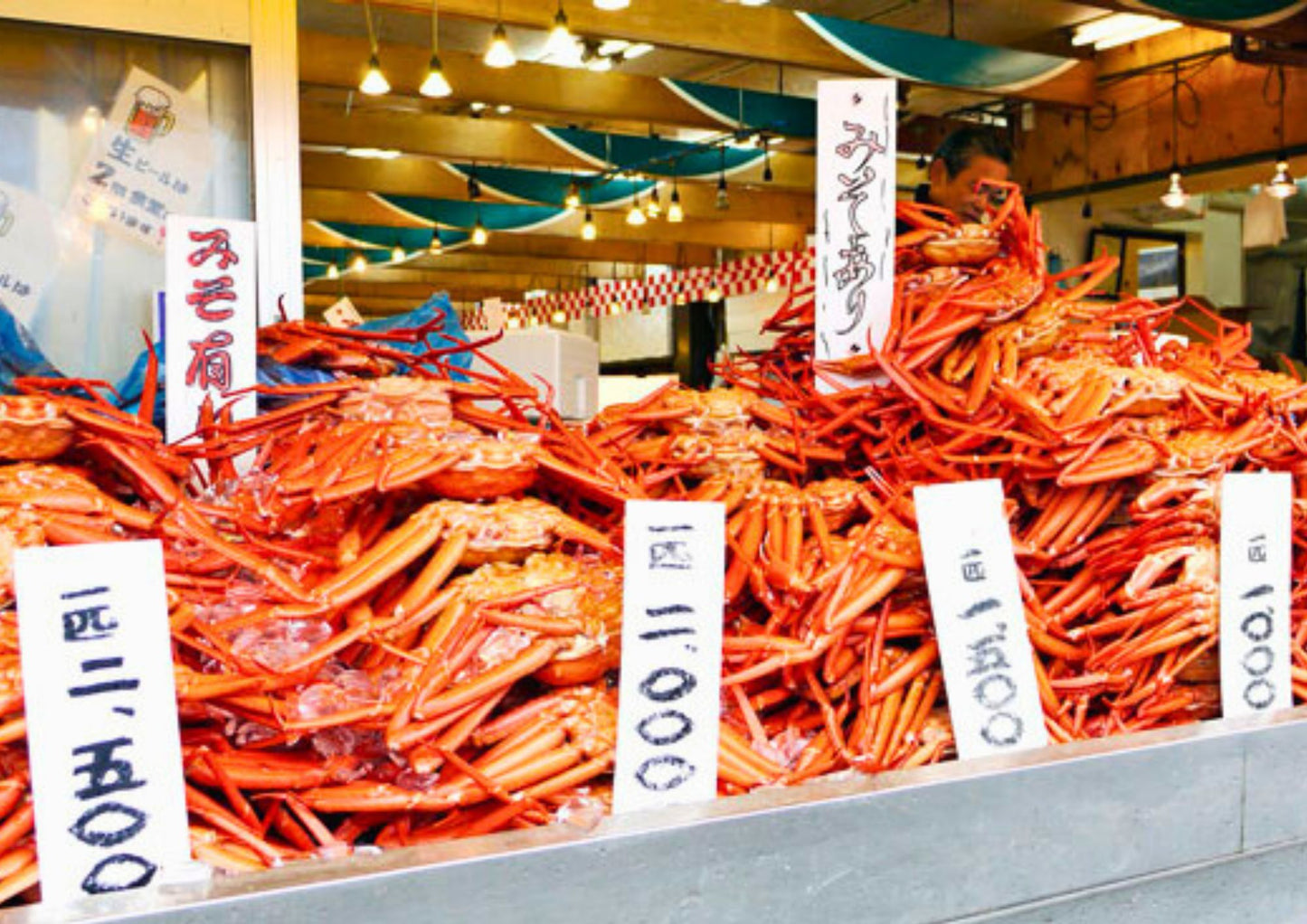 10天甲信越私人包團
