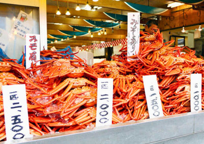 10天甲信越私人包團