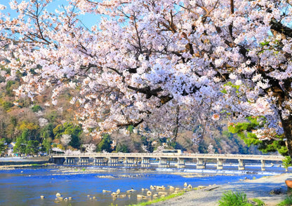 5 DAYS NORTH KANSAI PRIVATE TOUR