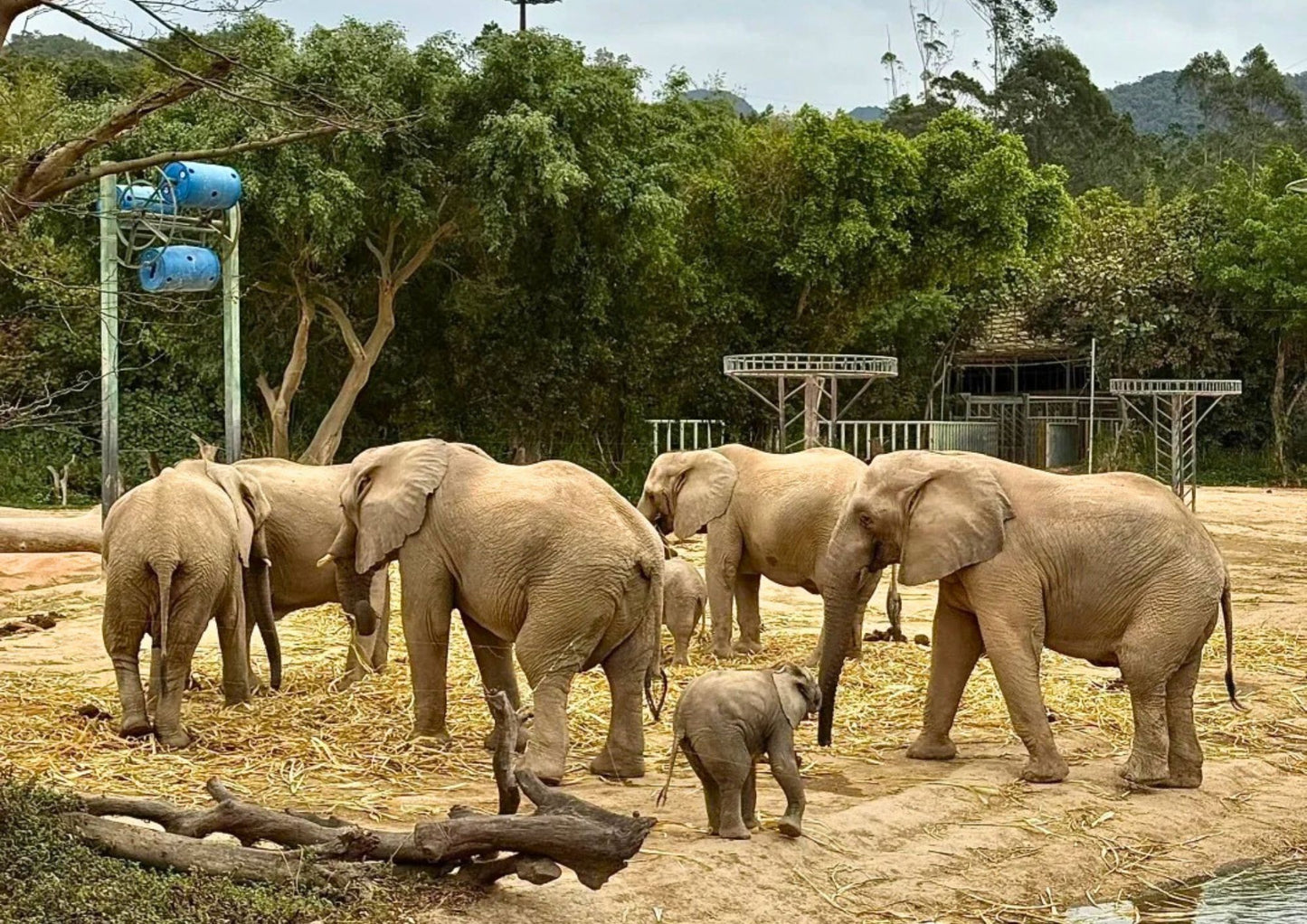 4 DAYS QINGYUAN PRIVATE TOUR