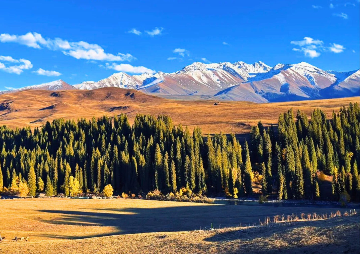 10 DAYS NORTH & WEST XINJIANG PRIVATE TOUR