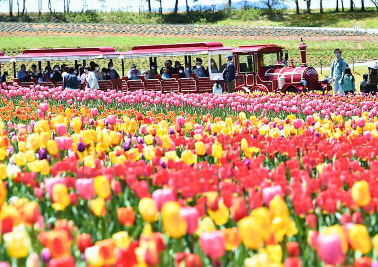 6日間の白川郷プライベートツアー