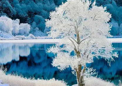 10 DAYS NORTH & EAST XINJIANG PRIVATE TOUR