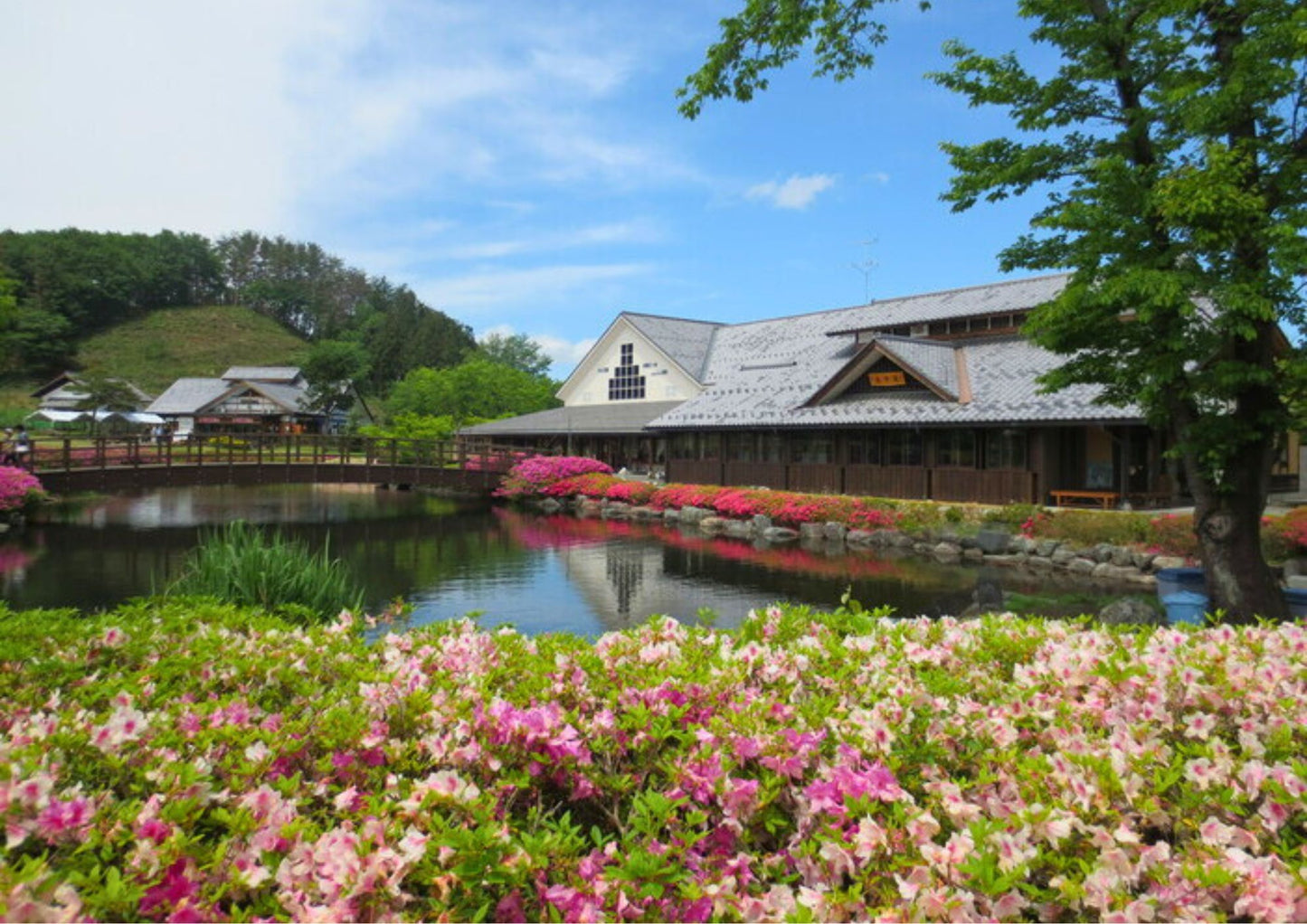 8日間の北関東プライベートチャーター