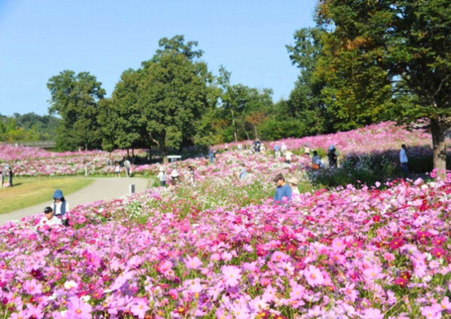 8 DAYS SHIKOKU PRIVATE TOUR