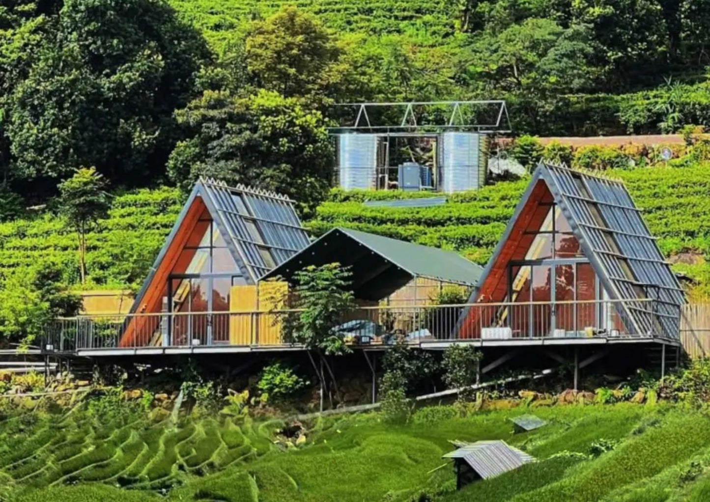 4 DAYS QINGYUAN PRIVATE TOUR