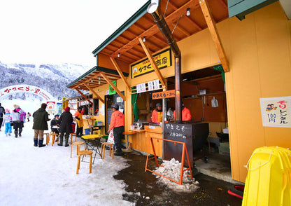 10天甲信越私人包團