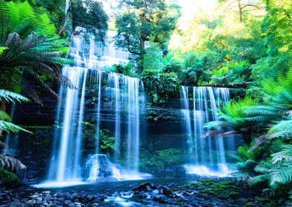 8 DAYS TASMANIA PRIVATE TOUR
