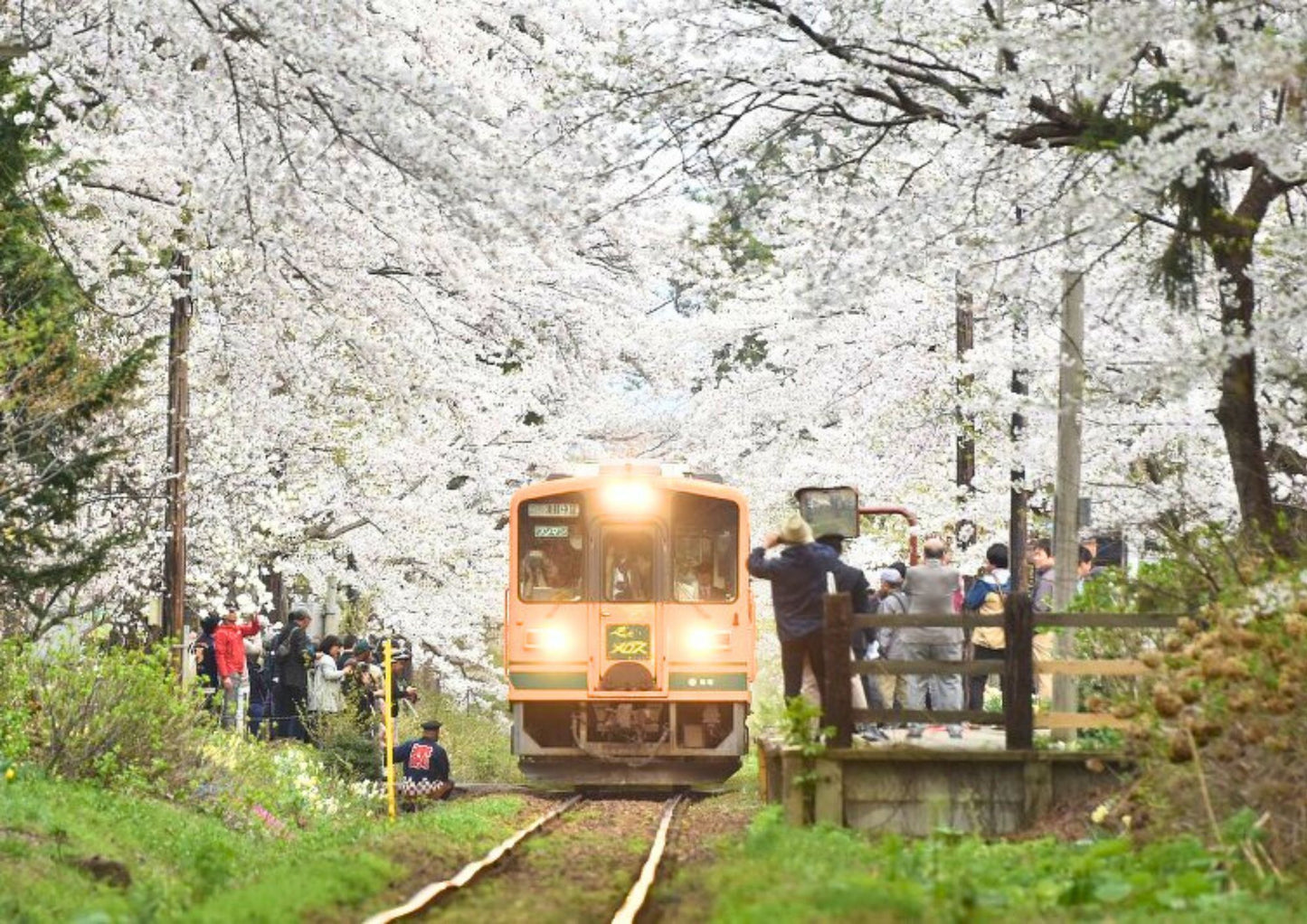 11 DAYS TOHOKU PRIVATE TOUR